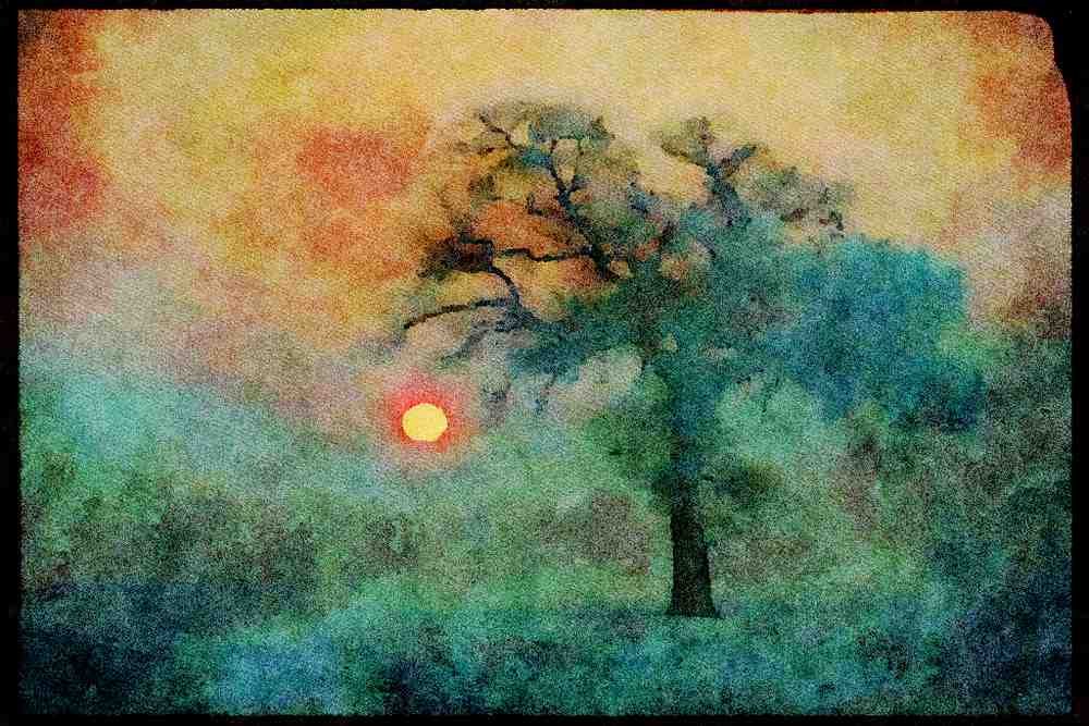 England Countryside 298054 Winter Sunset And Tree A4 Limited Edition Watercolour Print