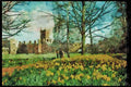 England Countryside 298059 Flowers, Cambridge A4 Limited Edition Watercolour Print