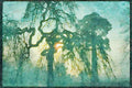 England Countryside 298062 Willow In Mist, Woburn Sands A4 Limited Edition Watercolour Print