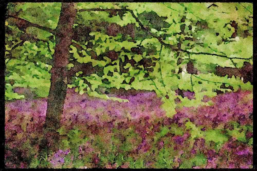 England Countryside 298067 Bluebells, Kew Gardens A4 Limited Edition Watercolour Print