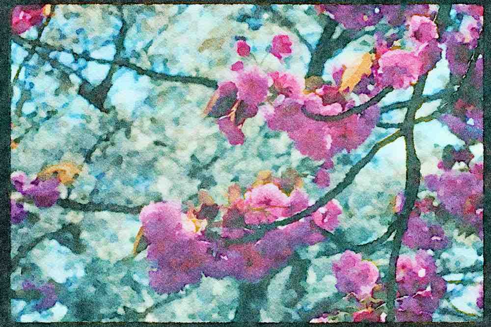 England Countryside 298076 Cherry Blossom, Kew Gardens A4 Limited Edition Watercolour Print