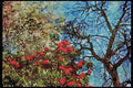 England Countryside 298078 Red And White Flora, Kew Gardens A4 Limited Edition Watercolour Print