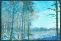 England Countryside 298086 Snow Scene At Woburn A4 Limited Edition Watercolour Print