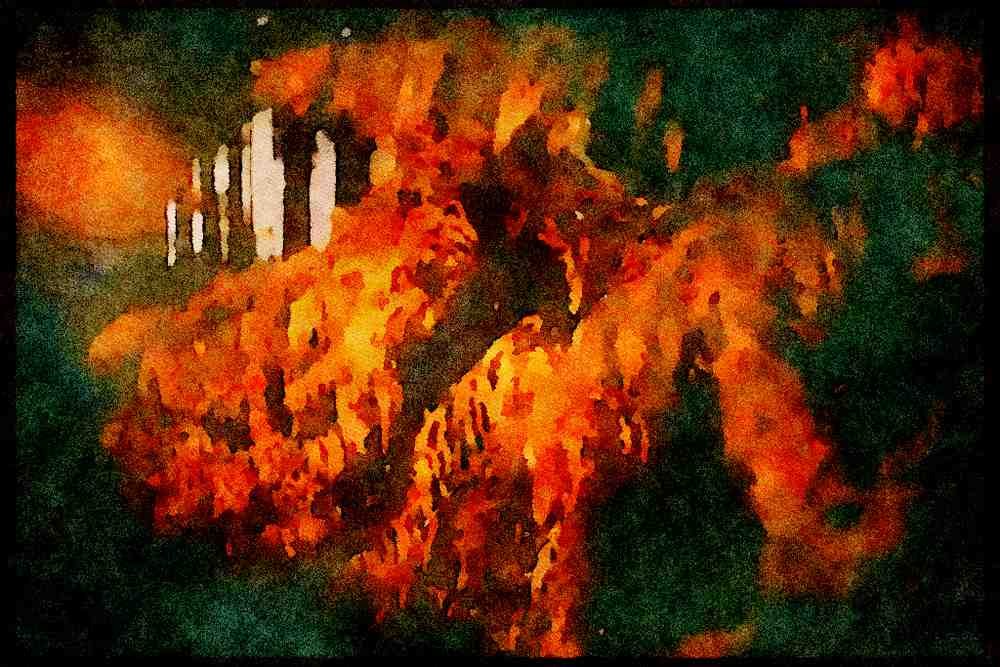 England Countryside 298093 Golden Ferns, Ashpley Heath Woods A4 Limited Edition Watercolour Print