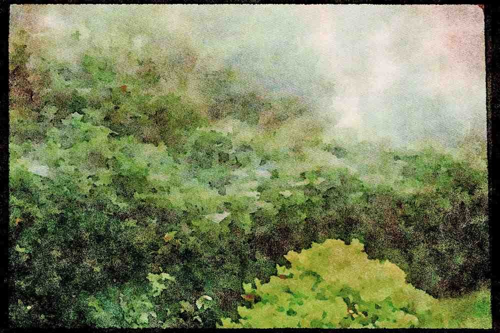 England Countryside 298095 Holly Hedge And Mist, Ashpley Heath Woods A4 Limited Edition Watercolour Print