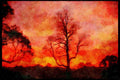 England Countryside 298096 Winter Sunset, Kent A4 Limited Edition Watercolour Print