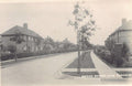 England New Earswick Rowan Avenue Vintage A4 Photo Print