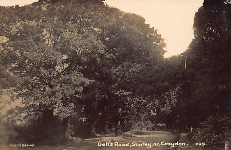 England Shirley Oaks Road Near Croydon Vintage A4 Photo Print