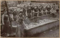 England Suffolk 14094 Vintage A4 Photo Print