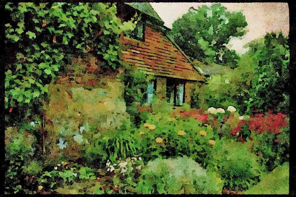 English Country Gardens UK GB 131015 Mixed Herbaceous Border Cotton Lavander, Pyrethrum A4 Limited Edition Watercolour Print