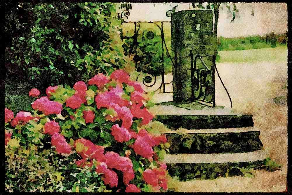 English Country Gardens UK GB 131064 Hydrangea Macrophylla (pink) A4 Limited Edition Watercolour Print