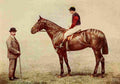 English Sport 1903 Grand National winner Ambush A4 Photo Print