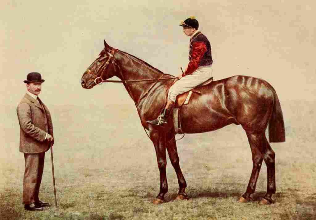 English Sport 1903 Grand National winner Ambush A4 Photo Print