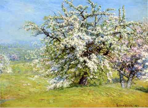 Enneking John Joseph Blooming Meadows A4 Photo Print