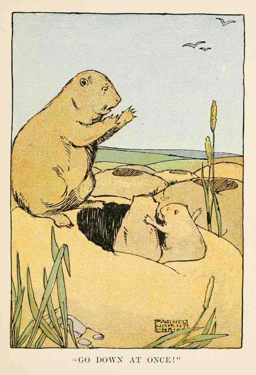 Enright Maginel Wright 1881 1966 Prairie Dog Town 1906 4 A4 Photo Print