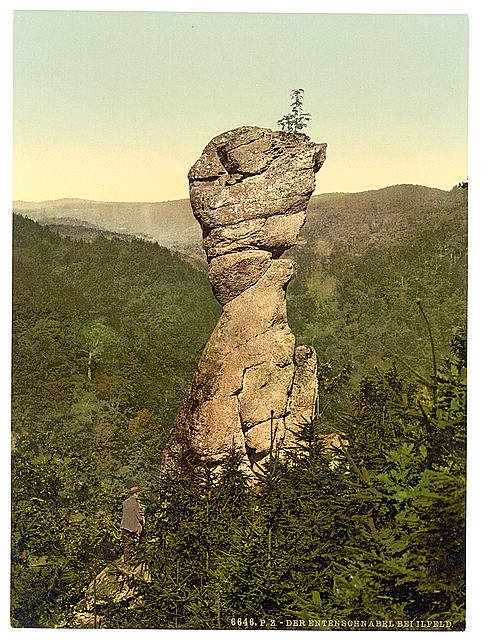 Entenschnabel Ilfeld Hartz Vintage A4 Photo Print