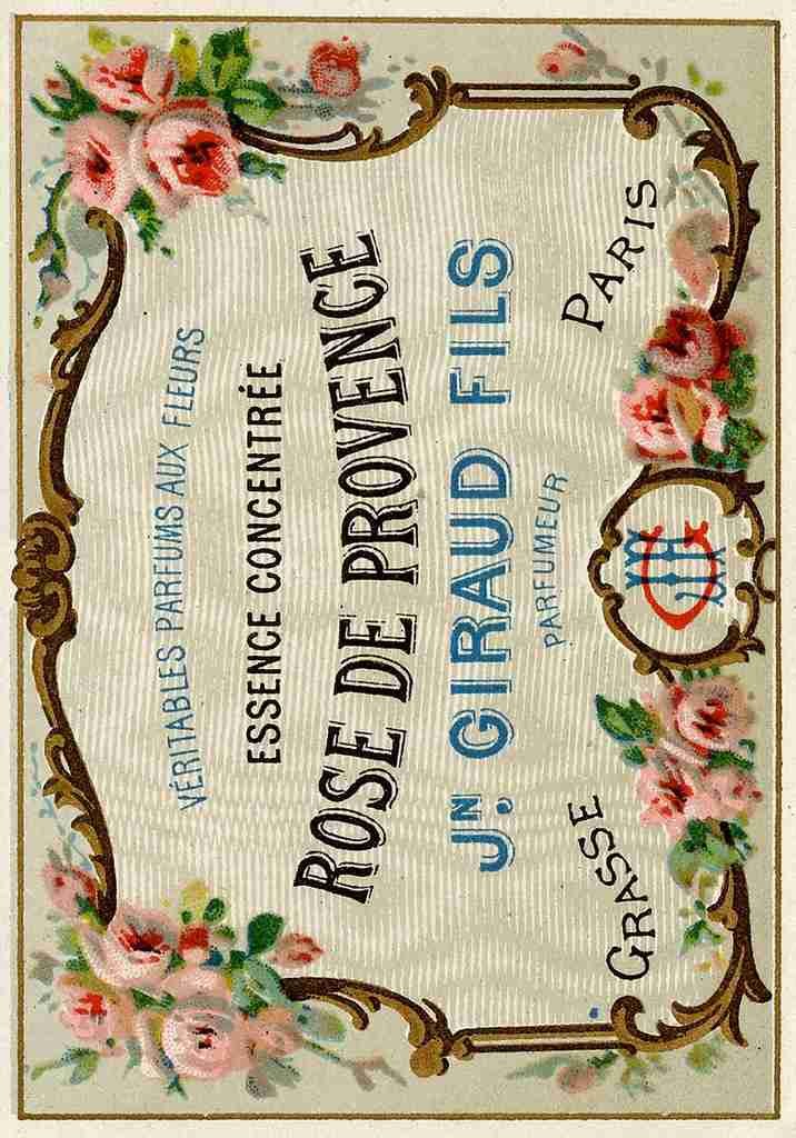 Ephemera Rose de Provence A4 Photo Print