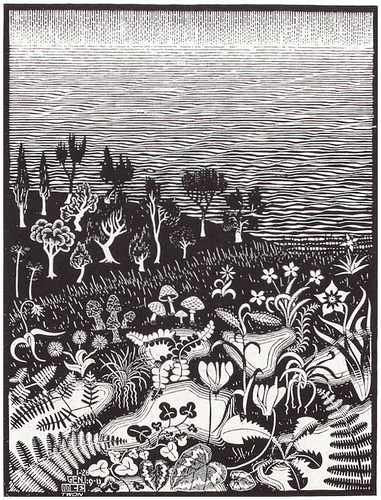 Escher2 138 Twon The Third Day Of The Creation A4 Photo Print