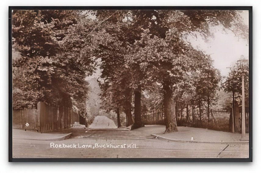 Essex Buckhurst Hill Roebuck Lane From Road Junction Tree Lined Vintage A4 Photo Print