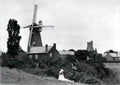 Essex Rayleigh Mill and Mount circa 1900 Vintage A4 Photo Print