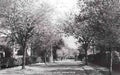 Essex Shenfield Middleton Road Vintage A4 Photo Print