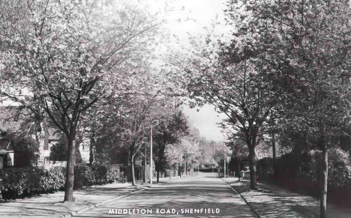 Essex Shenfield Middleton Road Vintage A4 Photo Print