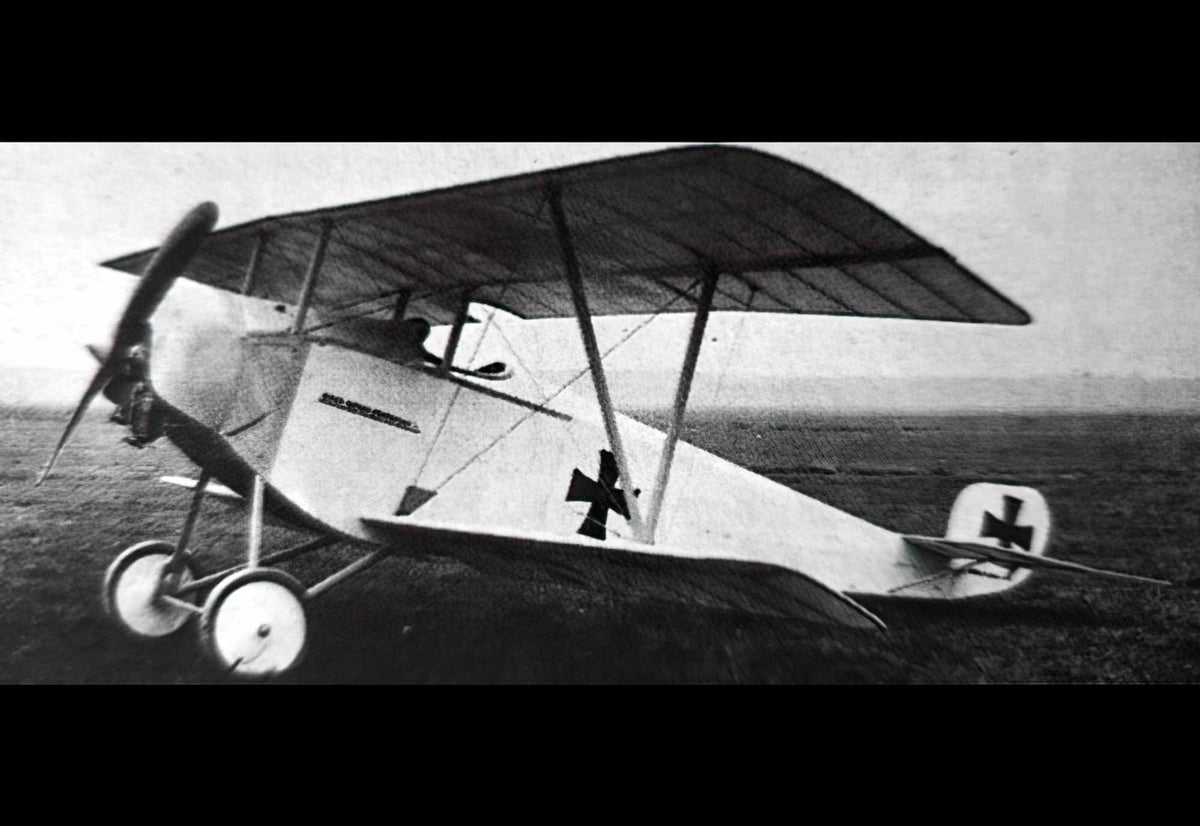Euler Di Biplane Fighter Scout Aircraft German Empire A4 Photo Print