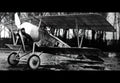 Euler Dii Biplane Fighter Scout Aircraft German Empire A4 Photo Print