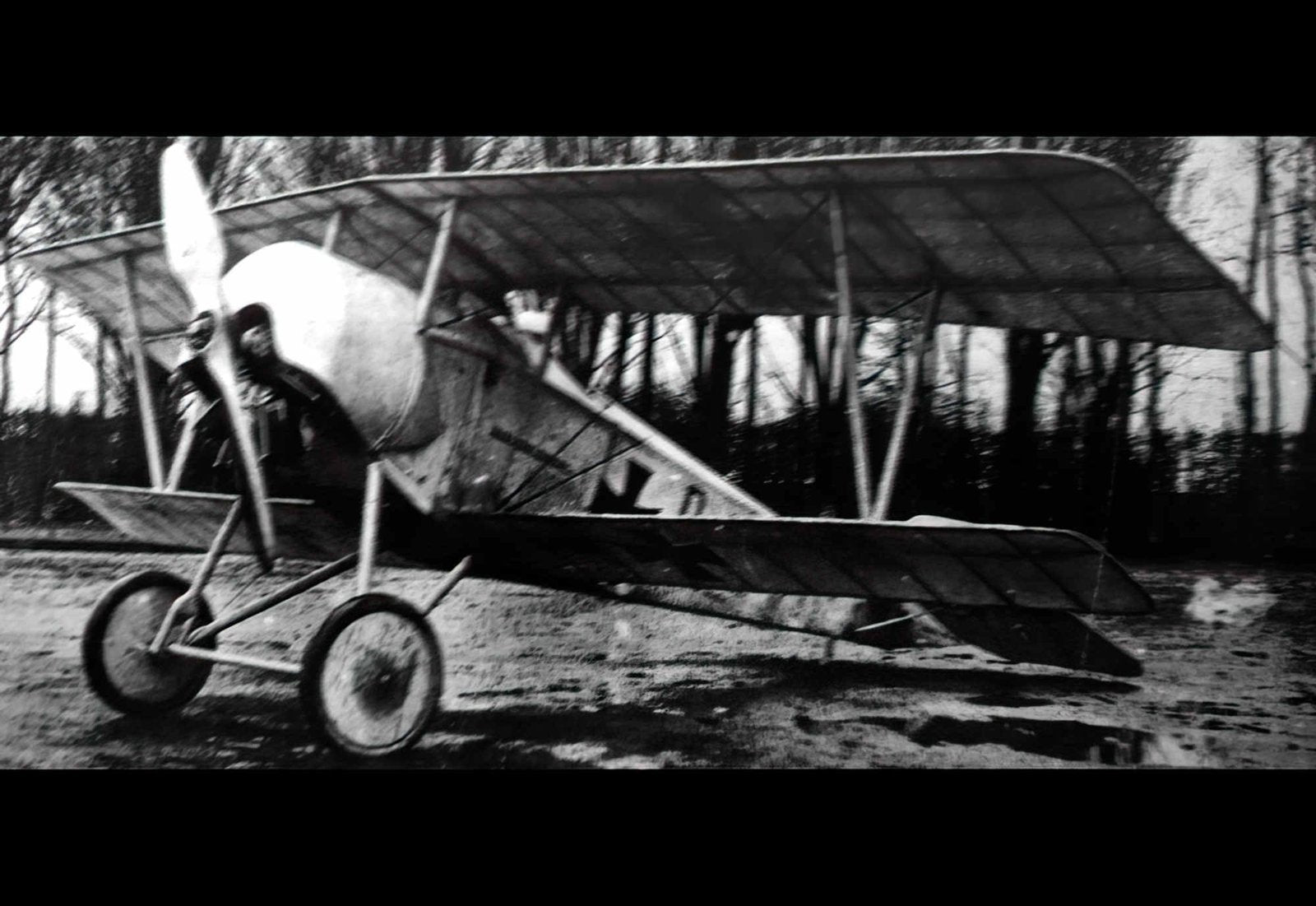 Euler Dii Biplane Fighter Scout Aircraft German Empire A4 Photo Print