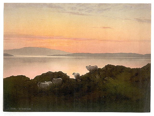 Eventide Vintage A4 Photo Print