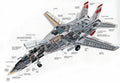 F 14 Tomcat cutaway A4 Photo Print