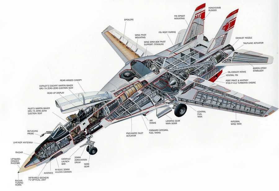 F 14 Tomcat cutaway A4 Photo Print