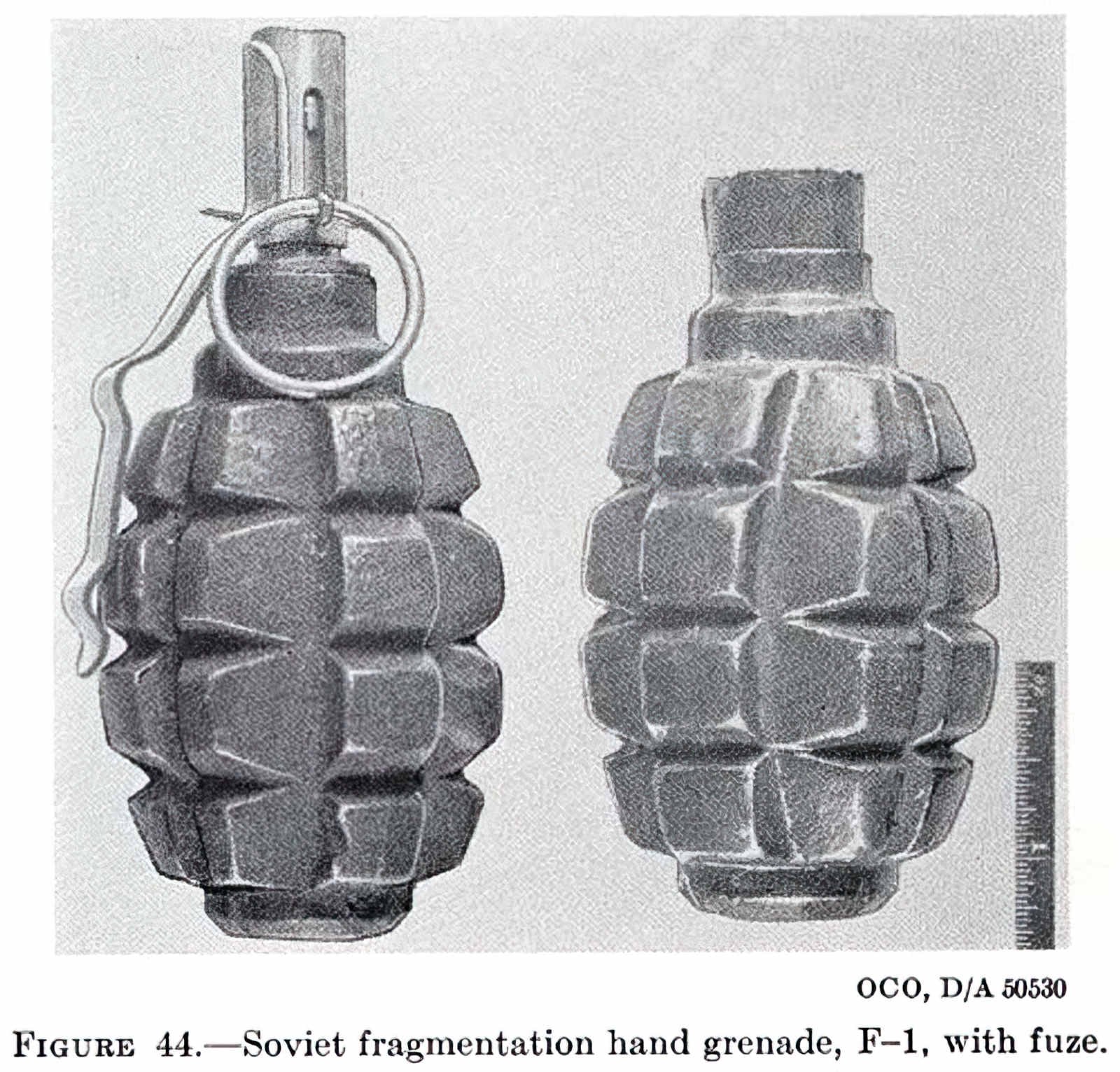 F1 Grenade Soviet A4 Photo Print