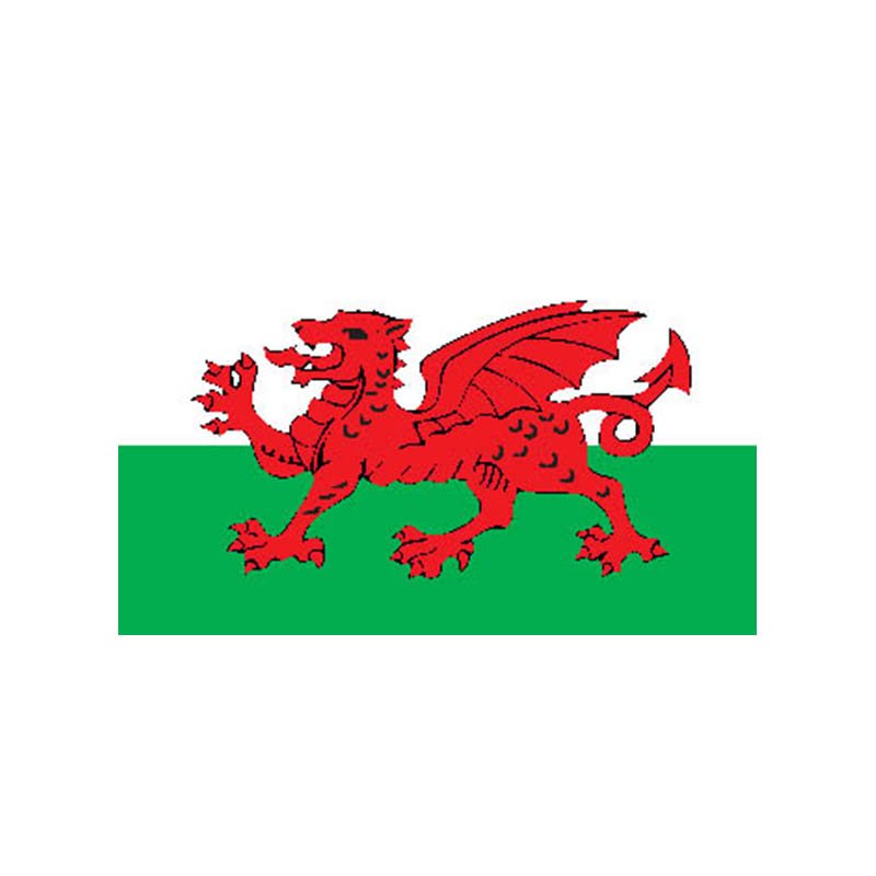 F266 Welsh A4 Photo Print