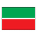 F440 Tatarstan A4 Photo Print