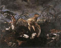 FYT Jan Bittern And Ducks Startled By Dogs A4 Photo Print