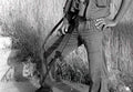 Fabrique Nationale Fn Fal 10 A4 Photo Print