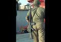 Fabrique Nationale Fn Fal 5 A4 Photo Print