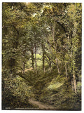 Fairlight Glen Hastings Vintage A4 Photo Print