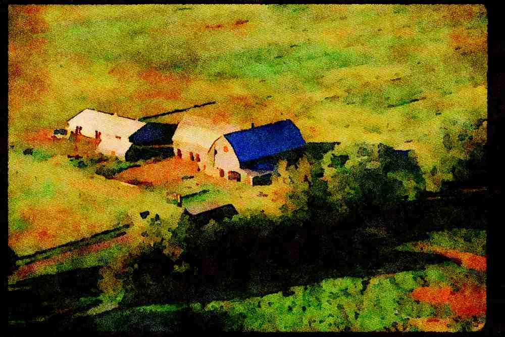 Farm Animals 066000 Barnyard Aerial A4 Limited Edition Watercolour Print