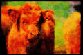 Farm Animals 066019 Calf A4 Limited Edition Watercolour Print
