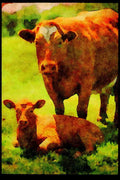 Farm Animals 066025 Cow And Calf A4 Limited Edition Watercolour Print