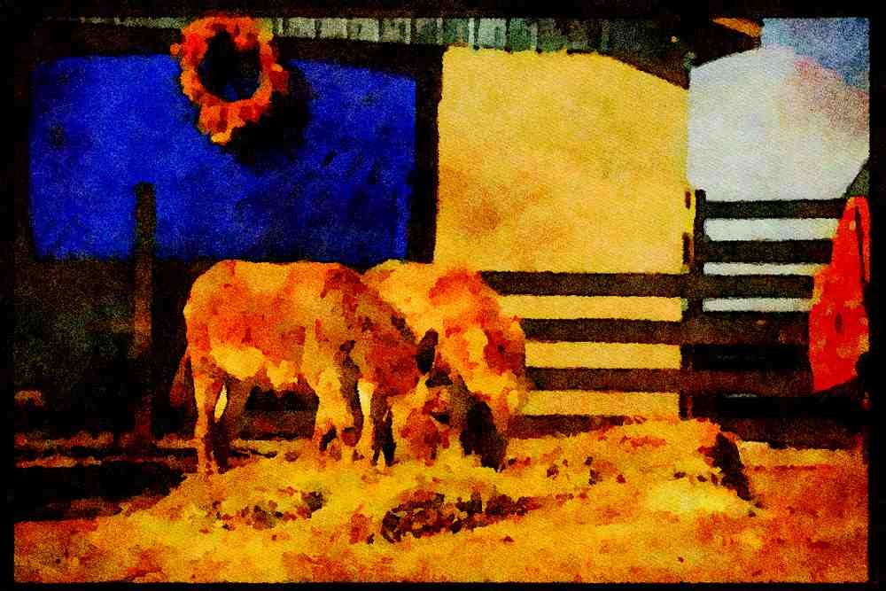 Farm Animals 066054 Young Donkeys A4 Limited Edition Watercolour Print