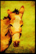 Farm Animals 066057 Donkey A4 Limited Edition Watercolour Print