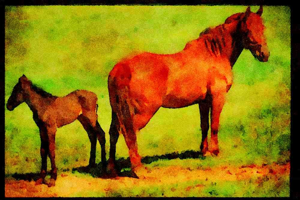 Farm Animals 066062 Horse And Colt A4 Limited Edition Watercolour Print