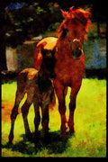 Farm Animals 066063 Horse And Colt A4 Limited Edition Watercolour Print