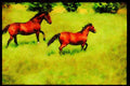 Farm Animals 066064 Horses A4 Limited Edition Watercolour Print