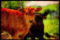 Farm Animals 066095 Calf A4 Limited Edition Watercolour Print