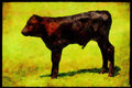 Farm Animals 066097 Calf A4 Limited Edition Watercolour Print