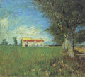 Farm House In Wheatfield Arles 1888 A4 Photo Print